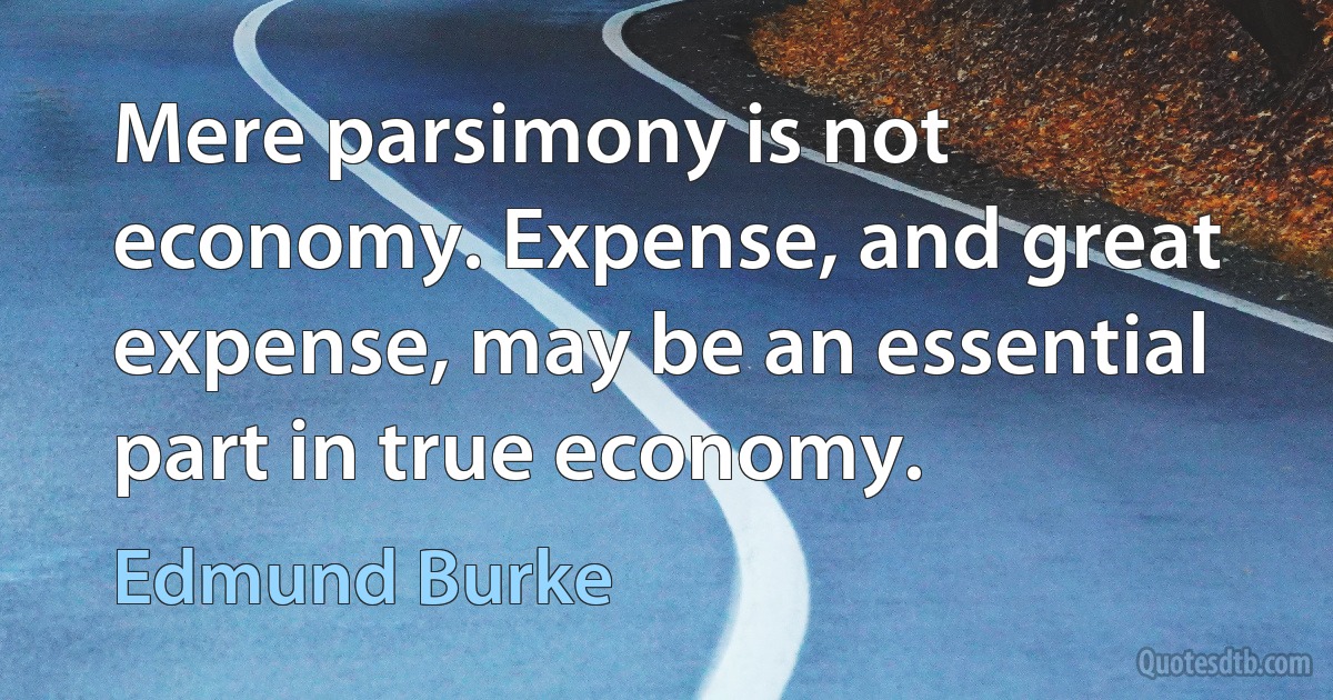 Mere parsimony is not economy. Expense, and great expense, may be an essential part in true economy. (Edmund Burke)