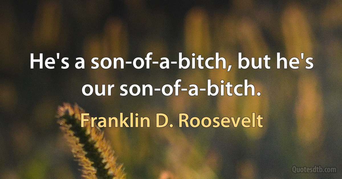 He's a son-of-a-bitch, but he's our son-of-a-bitch. (Franklin D. Roosevelt)