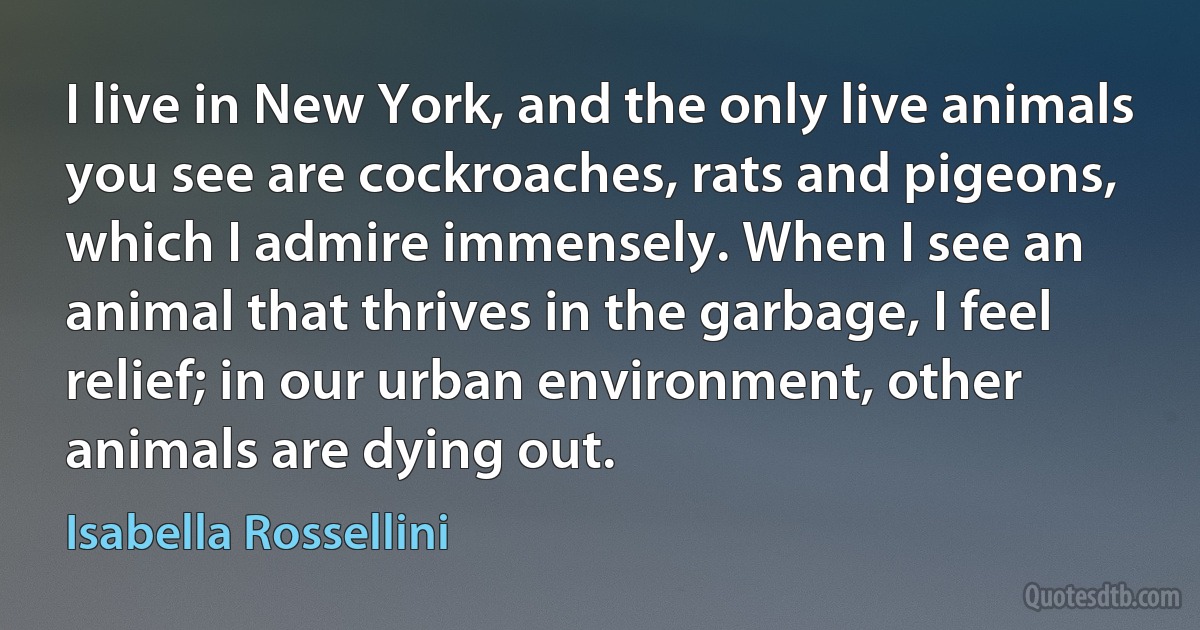 I live in New York, and the only live animals you see are cockroaches, rats and pigeons, which I admire immensely. When I see an animal that thrives in the garbage, I feel relief; in our urban environment, other animals are dying out. (Isabella Rossellini)