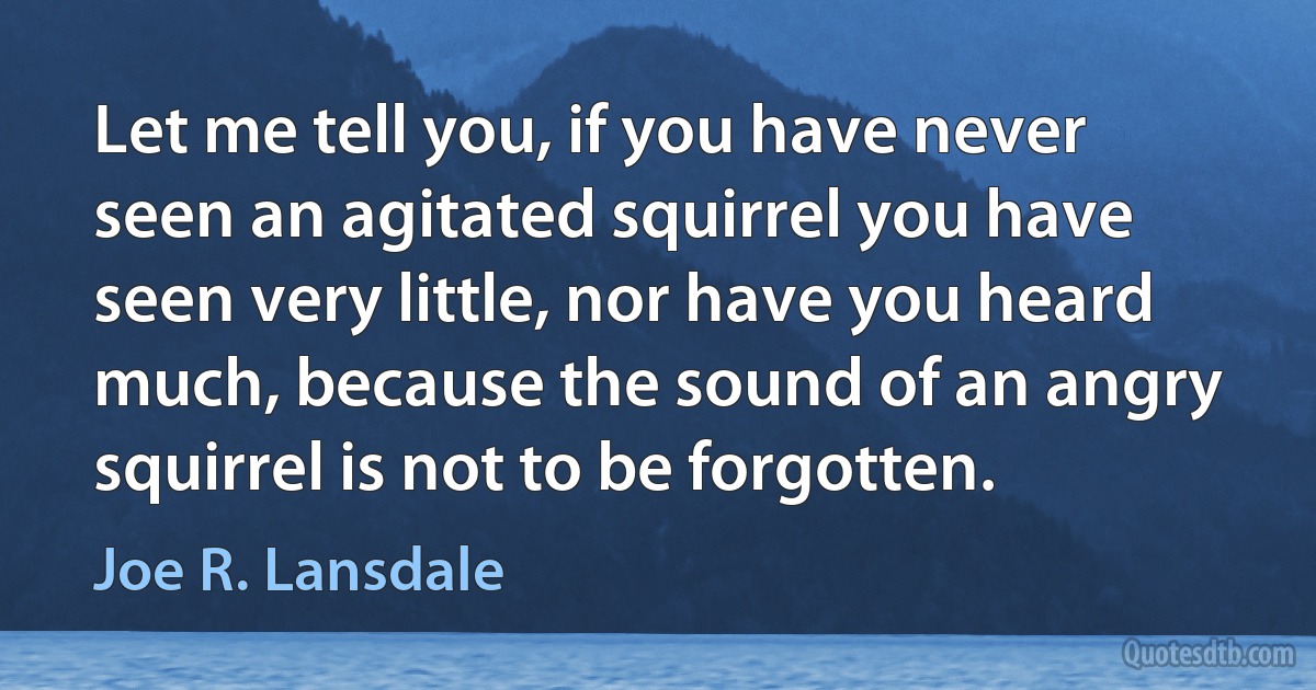 Let me tell you, if you have never seen an agitated squirrel you have seen very little, nor have you heard much, because the sound of an angry squirrel is not to be forgotten. (Joe R. Lansdale)