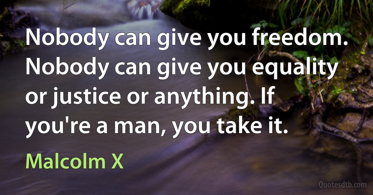 Nobody can give you freedom. Nobody can give you equality or justice or anything. If you're a man, you take it. (Malcolm X)