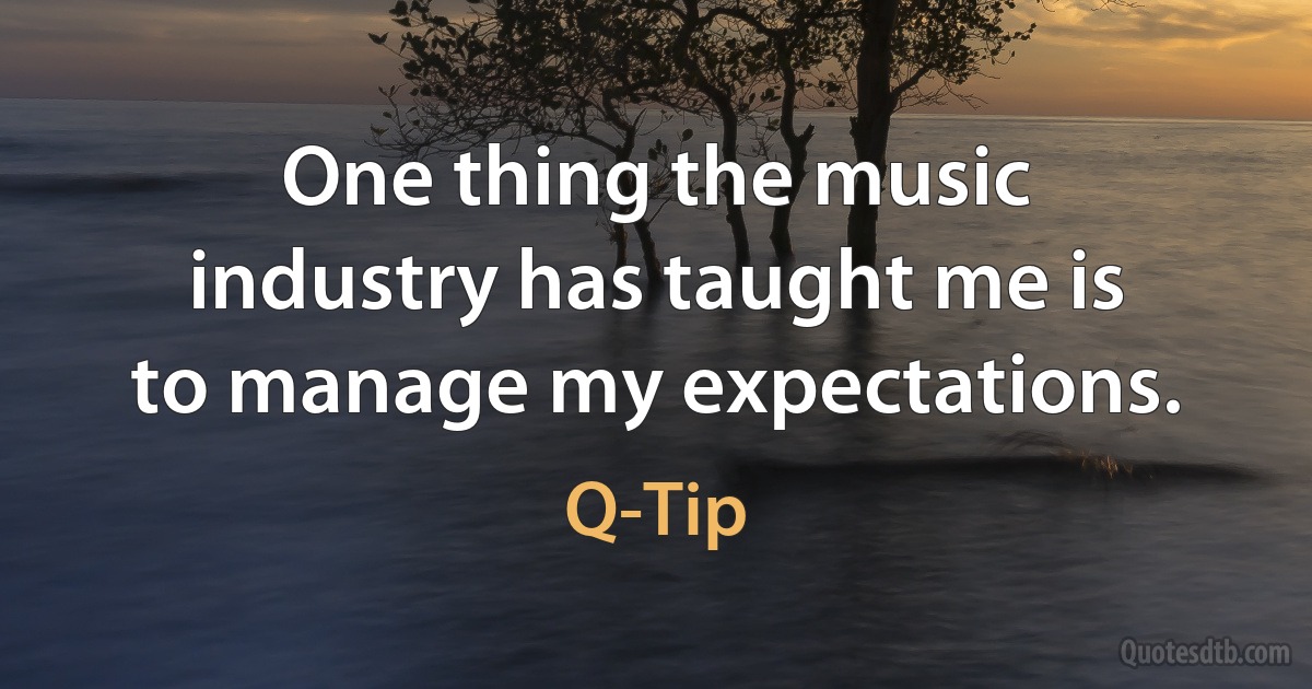 One thing the music industry has taught me is to manage my expectations. (Q-Tip)