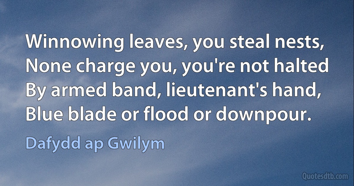 Winnowing leaves, you steal nests,
None charge you, you're not halted
By armed band, lieutenant's hand,
Blue blade or flood or downpour. (Dafydd ap Gwilym)