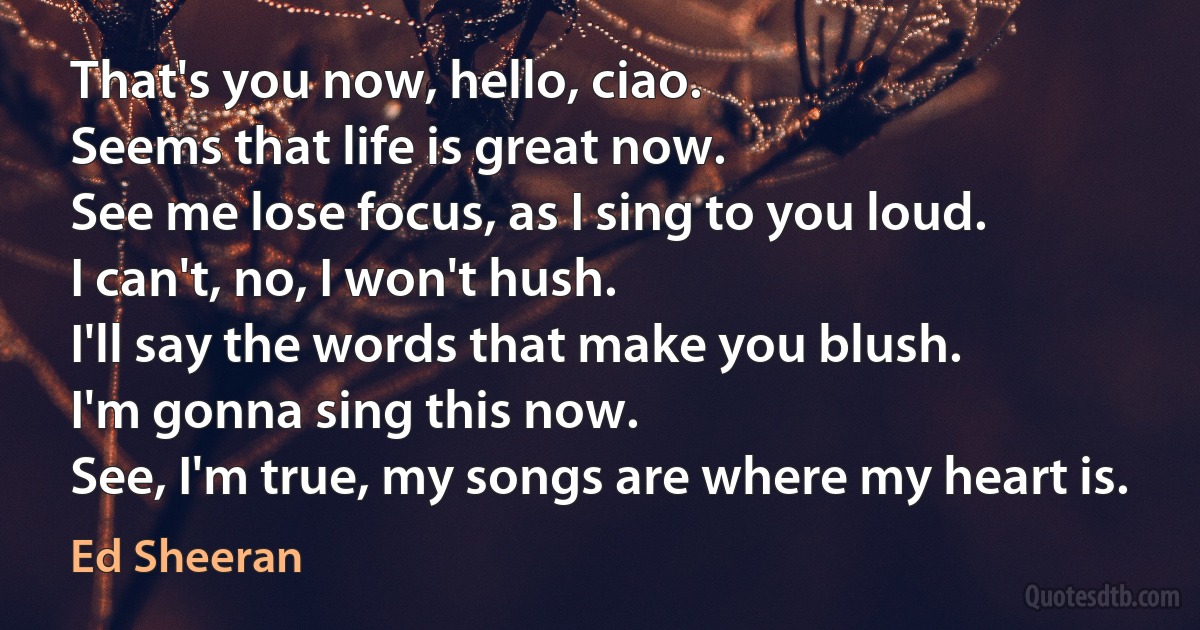 That's you now, hello, ciao.
Seems that life is great now.
See me lose focus, as I sing to you loud.
I can't, no, I won't hush.
I'll say the words that make you blush.
I'm gonna sing this now.
See, I'm true, my songs are where my heart is. (Ed Sheeran)