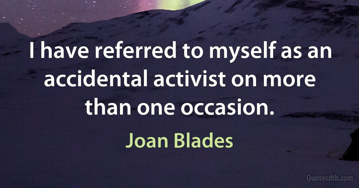 I have referred to myself as an accidental activist on more than one occasion. (Joan Blades)