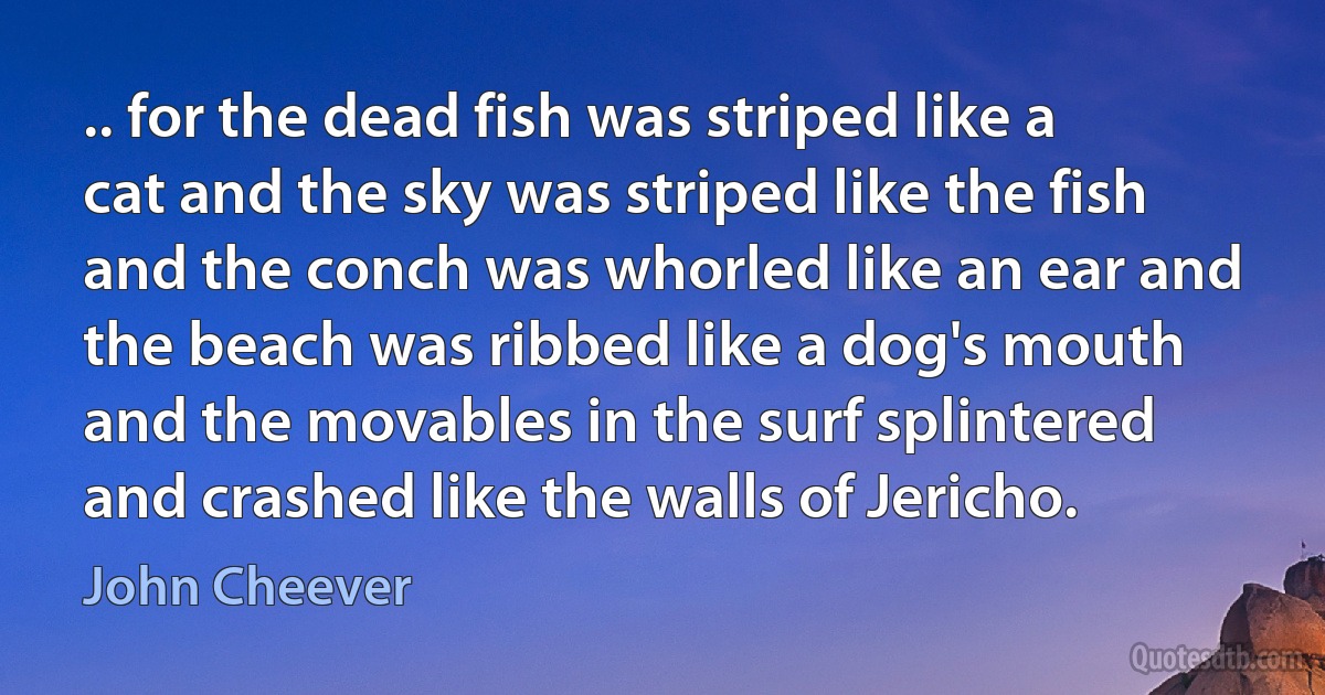 .. for the dead fish was striped like a cat and the sky was striped like the fish and the conch was whorled like an ear and the beach was ribbed like a dog's mouth and the movables in the surf splintered and crashed like the walls of Jericho. (John Cheever)