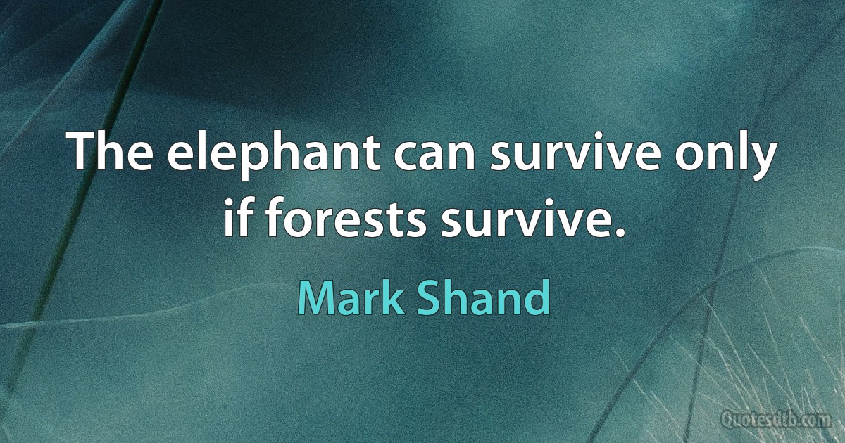 The elephant can survive only if forests survive. (Mark Shand)