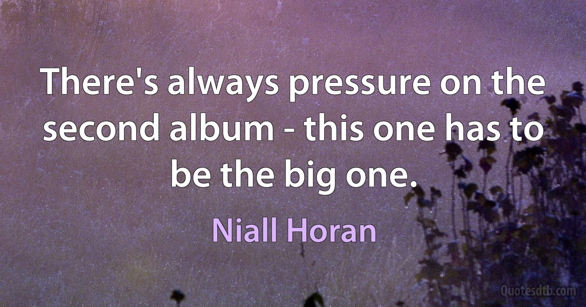 There's always pressure on the second album - this one has to be the big one. (Niall Horan)