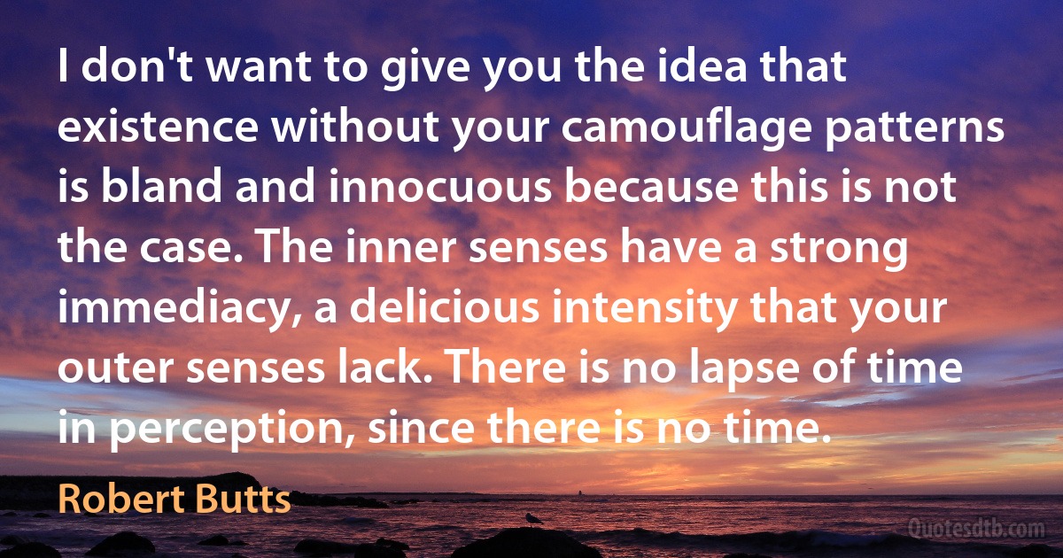 I don't want to give you the idea that existence without your camouflage patterns is bland and innocuous because this is not the case. The inner senses have a strong immediacy, a delicious intensity that your outer senses lack. There is no lapse of time in perception, since there is no time. (Robert Butts)