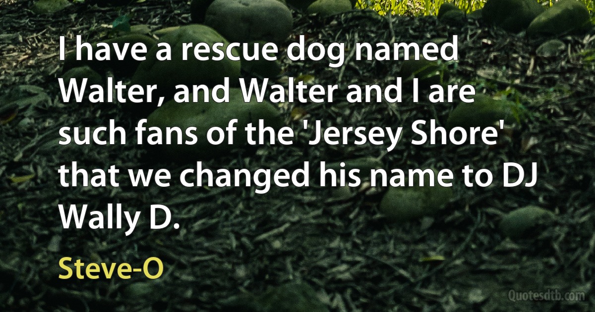 I have a rescue dog named Walter, and Walter and I are such fans of the 'Jersey Shore' that we changed his name to DJ Wally D. (Steve-O)