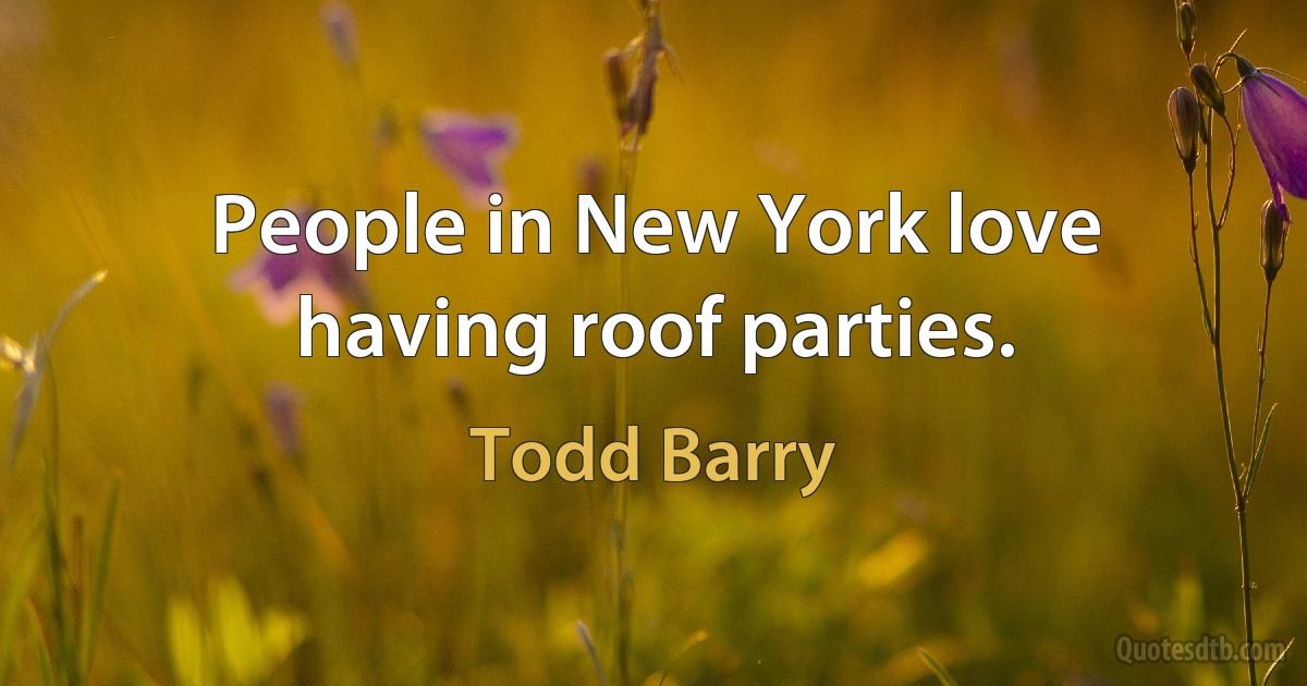 People in New York love having roof parties. (Todd Barry)