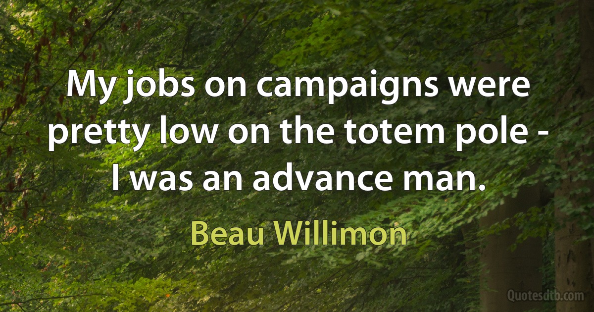 My jobs on campaigns were pretty low on the totem pole - I was an advance man. (Beau Willimon)