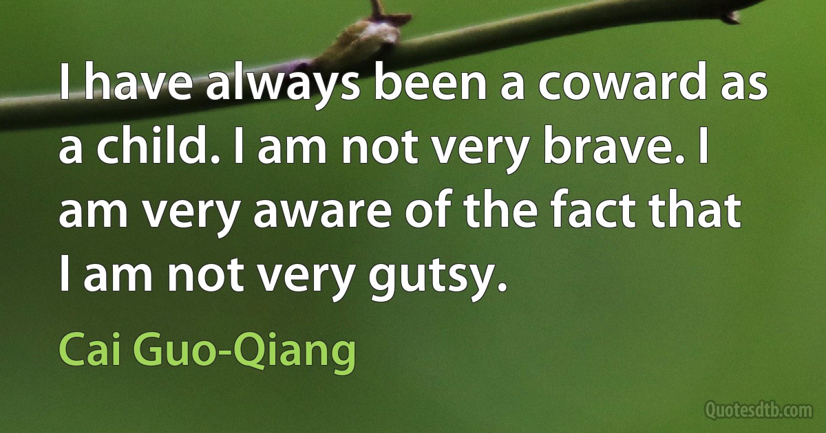 I have always been a coward as a child. I am not very brave. I am very aware of the fact that I am not very gutsy. (Cai Guo-Qiang)