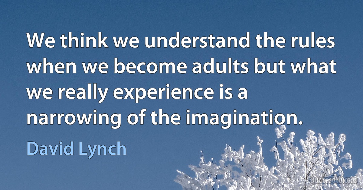 We think we understand the rules when we become adults but what we really experience is a narrowing of the imagination. (David Lynch)