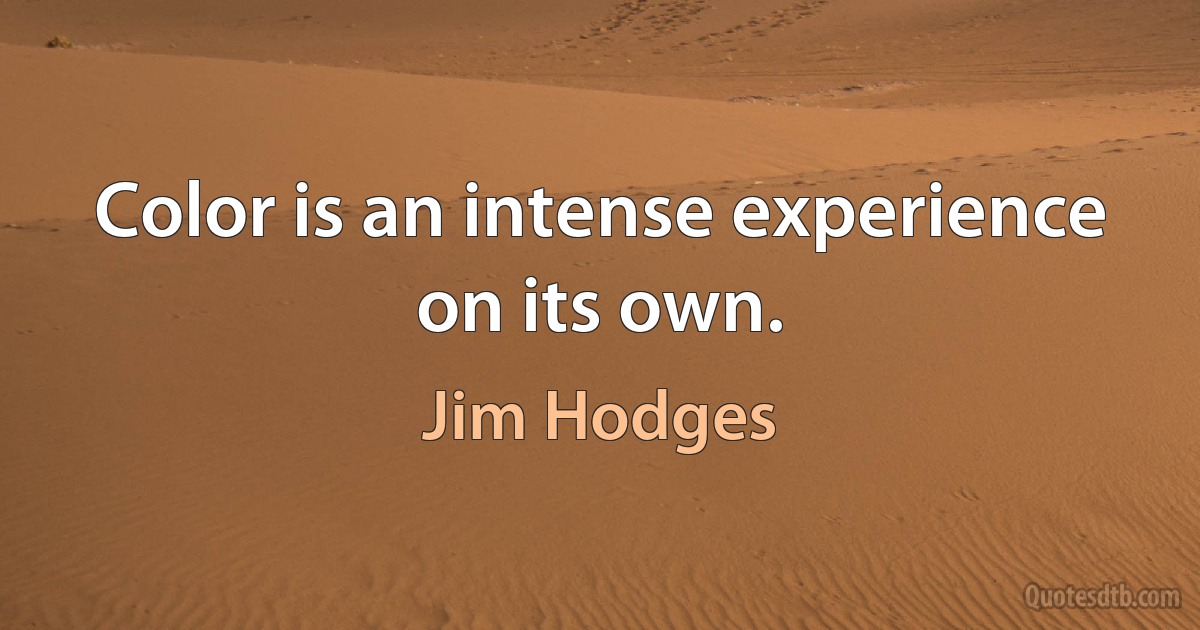 Color is an intense experience on its own. (Jim Hodges)