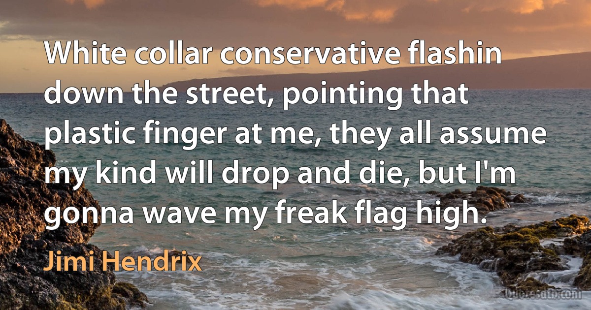 White collar conservative flashin down the street, pointing that plastic finger at me, they all assume my kind will drop and die, but I'm gonna wave my freak flag high. (Jimi Hendrix)