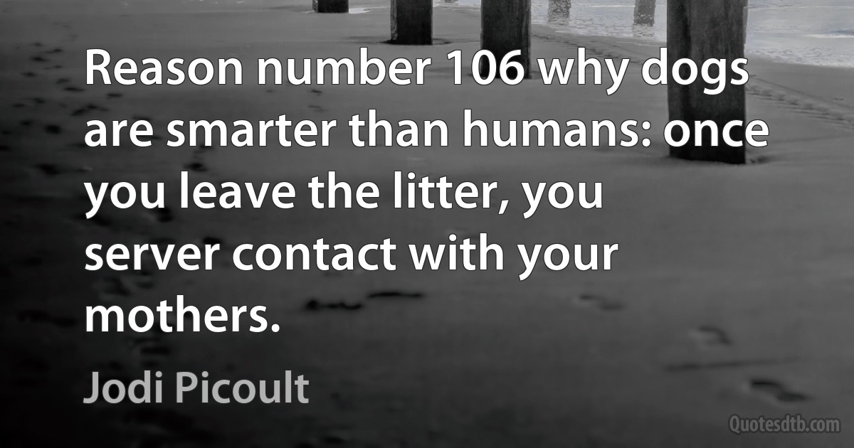 Reason number 106 why dogs are smarter than humans: once you leave the litter, you server contact with your mothers. (Jodi Picoult)