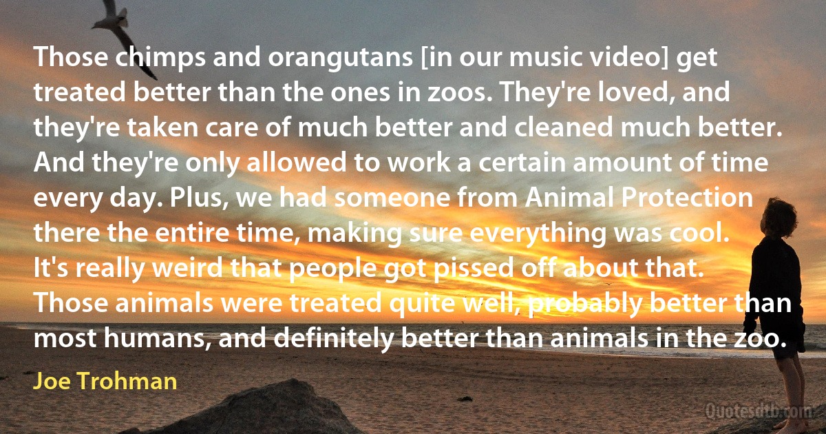 Those chimps and orangutans [in our music video] get treated better than the ones in zoos. They're loved, and they're taken care of much better and cleaned much better. And they're only allowed to work a certain amount of time every day. Plus, we had someone from Animal Protection there the entire time, making sure everything was cool. It's really weird that people got pissed off about that. Those animals were treated quite well, probably better than most humans, and definitely better than animals in the zoo. (Joe Trohman)