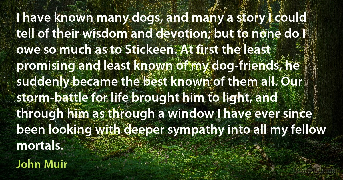 I have known many dogs, and many a story I could tell of their wisdom and devotion; but to none do I owe so much as to Stickeen. At first the least promising and least known of my dog-friends, he suddenly became the best known of them all. Our storm-battle for life brought him to light, and through him as through a window I have ever since been looking with deeper sympathy into all my fellow mortals. (John Muir)