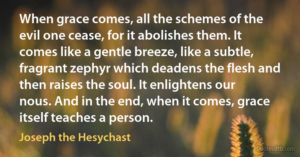 When grace comes, all the schemes of the evil one cease, for it abolishes them. It comes like a gentle breeze, like a subtle, fragrant zephyr which deadens the flesh and then raises the soul. It enlightens our nous. And in the end, when it comes, grace itself teaches a person. (Joseph the Hesychast)