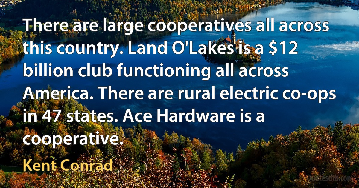 There are large cooperatives all across this country. Land O'Lakes is a $12 billion club functioning all across America. There are rural electric co-ops in 47 states. Ace Hardware is a cooperative. (Kent Conrad)