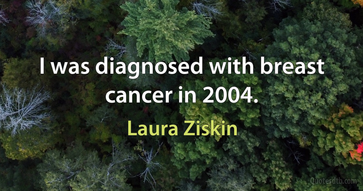 I was diagnosed with breast cancer in 2004. (Laura Ziskin)