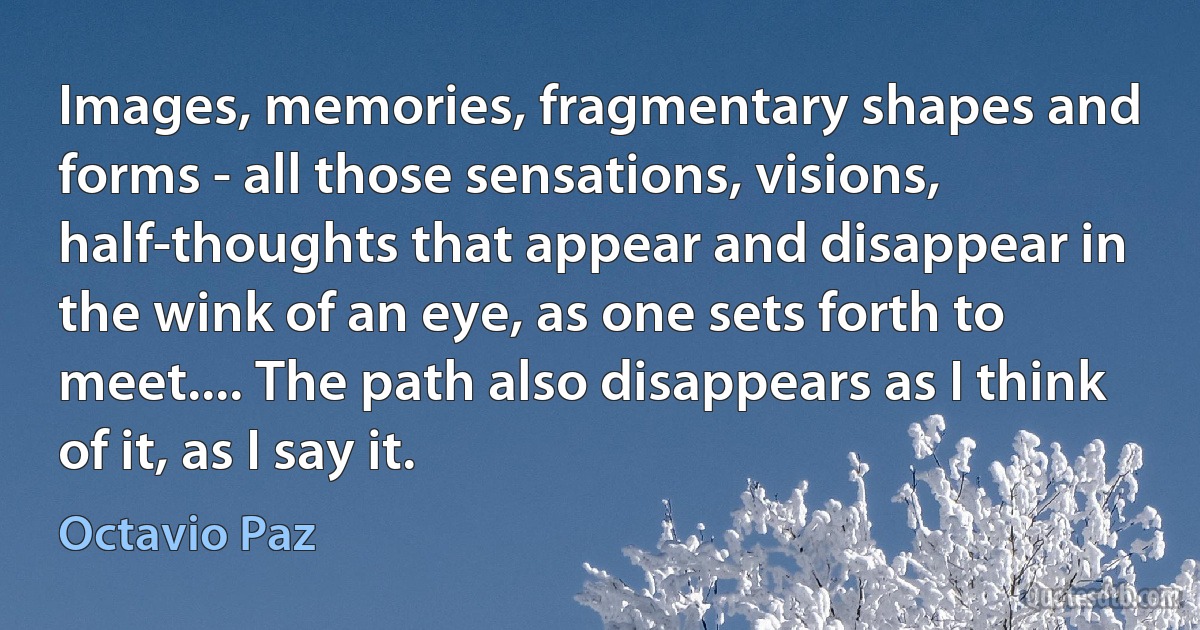 Images, memories, fragmentary shapes and forms - all those sensations, visions, half-thoughts that appear and disappear in the wink of an eye, as one sets forth to meet.... The path also disappears as I think of it, as I say it. (Octavio Paz)