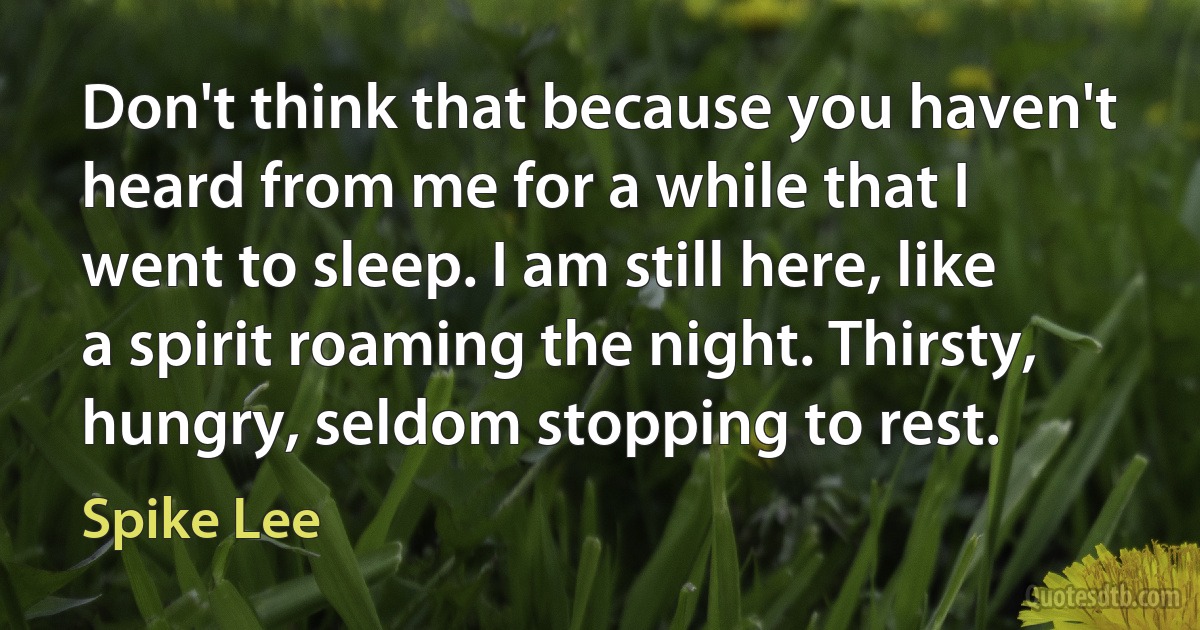 Don't think that because you haven't heard from me for a while that I went to sleep. I am still here, like a spirit roaming the night. Thirsty, hungry, seldom stopping to rest. (Spike Lee)