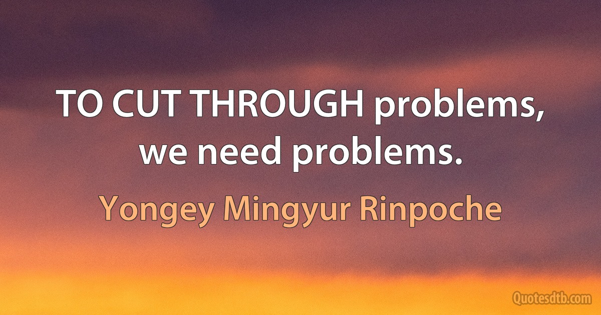 TO CUT THROUGH problems, we need problems. (Yongey Mingyur Rinpoche)