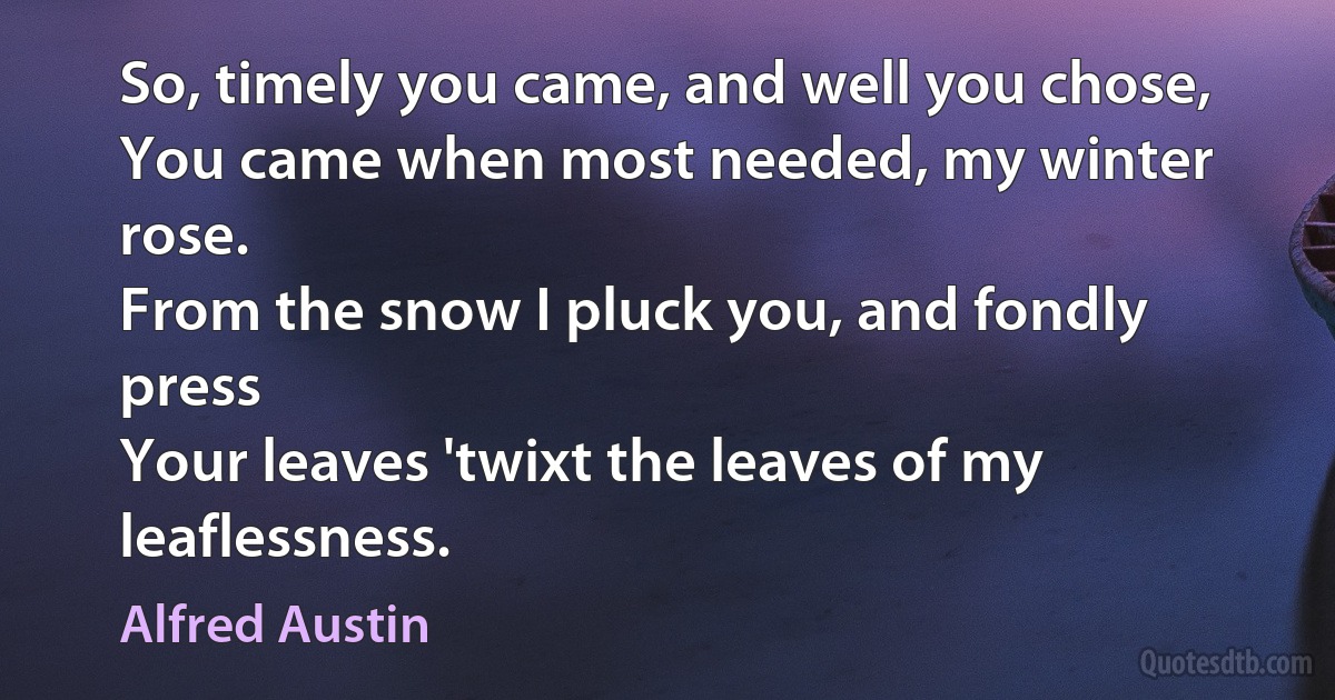 So, timely you came, and well you chose,
You came when most needed, my winter rose.
From the snow I pluck you, and fondly press
Your leaves 'twixt the leaves of my leaflessness. (Alfred Austin)