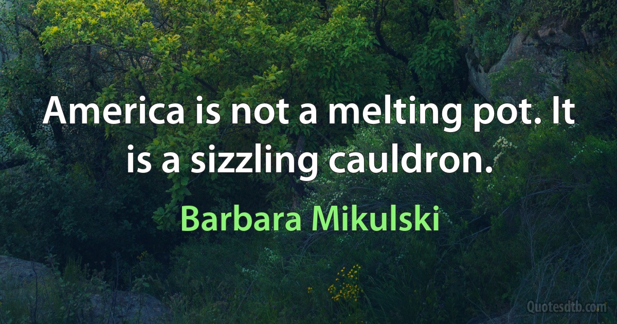 America is not a melting pot. It is a sizzling cauldron. (Barbara Mikulski)