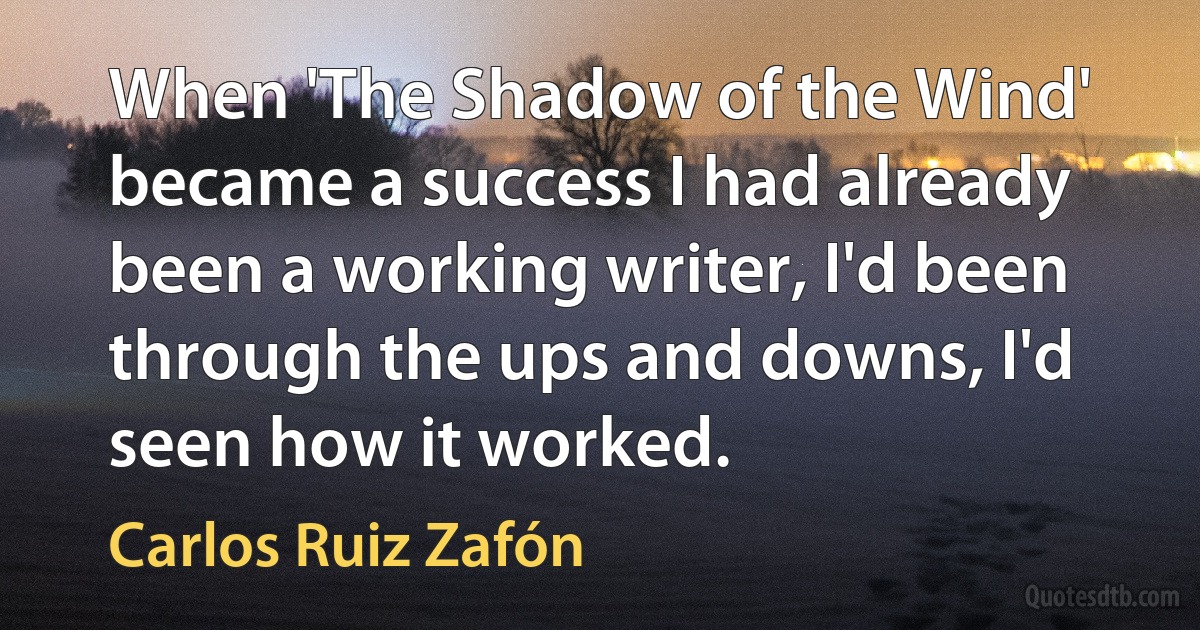 When 'The Shadow of the Wind' became a success I had already been a working writer, I'd been through the ups and downs, I'd seen how it worked. (Carlos Ruiz Zafón)