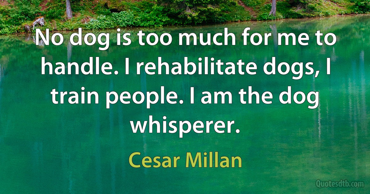 No dog is too much for me to handle. I rehabilitate dogs, I train people. I am the dog whisperer. (Cesar Millan)