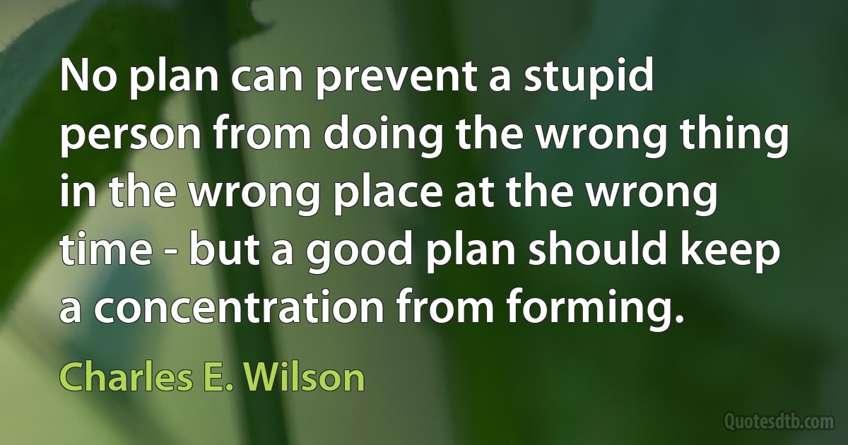 No plan can prevent a stupid person from doing the wrong thing in the wrong place at the wrong time - but a good plan should keep a concentration from forming. (Charles E. Wilson)