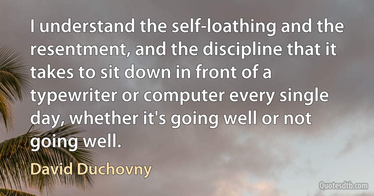 I understand the self-loathing and the resentment, and the discipline that it takes to sit down in front of a typewriter or computer every single day, whether it's going well or not going well. (David Duchovny)