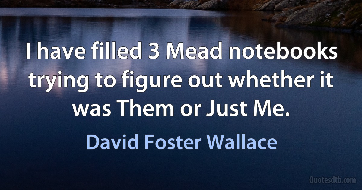 I have filled 3 Mead notebooks trying to figure out whether it was Them or Just Me. (David Foster Wallace)