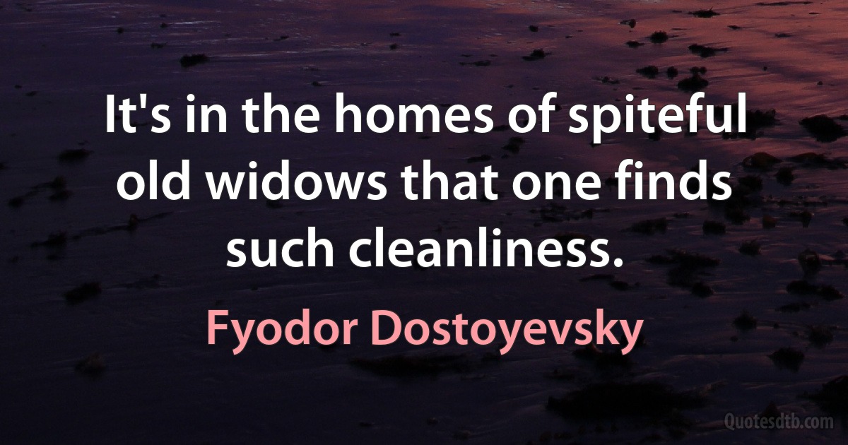 It's in the homes of spiteful old widows that one finds such cleanliness. (Fyodor Dostoyevsky)