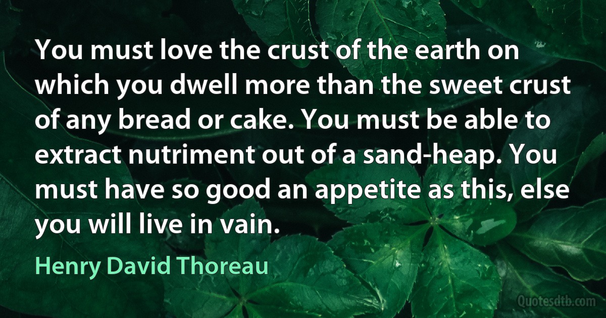 You must love the crust of the earth on which you dwell more than the sweet crust of any bread or cake. You must be able to extract nutriment out of a sand-heap. You must have so good an appetite as this, else you will live in vain. (Henry David Thoreau)