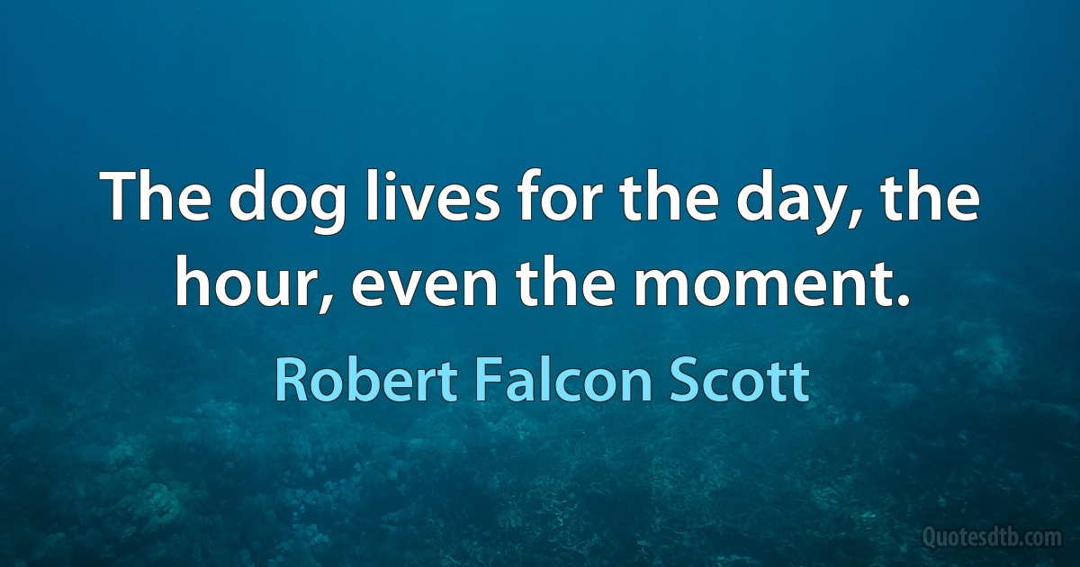 The dog lives for the day, the hour, even the moment. (Robert Falcon Scott)