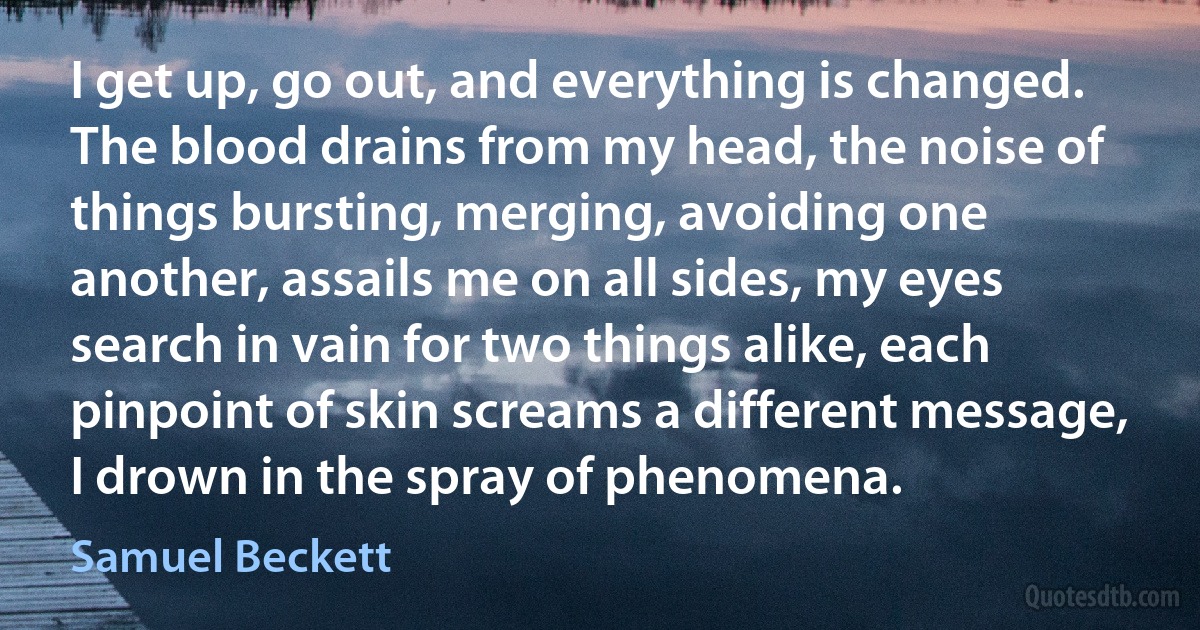 I get up, go out, and everything is changed. The blood drains from my head, the noise of things bursting, merging, avoiding one another, assails me on all sides, my eyes search in vain for two things alike, each pinpoint of skin screams a different message, I drown in the spray of phenomena. (Samuel Beckett)