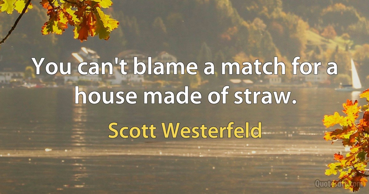 You can't blame a match for a house made of straw. (Scott Westerfeld)