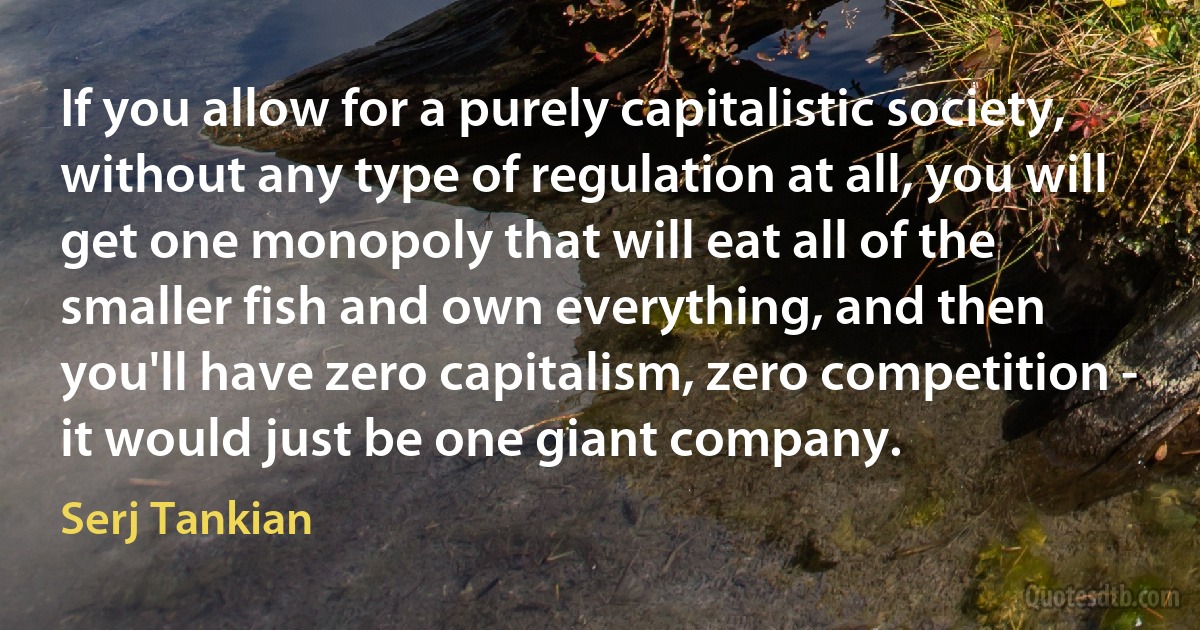 If you allow for a purely capitalistic society, without any type of regulation at all, you will get one monopoly that will eat all of the smaller fish and own everything, and then you'll have zero capitalism, zero competition - it would just be one giant company. (Serj Tankian)