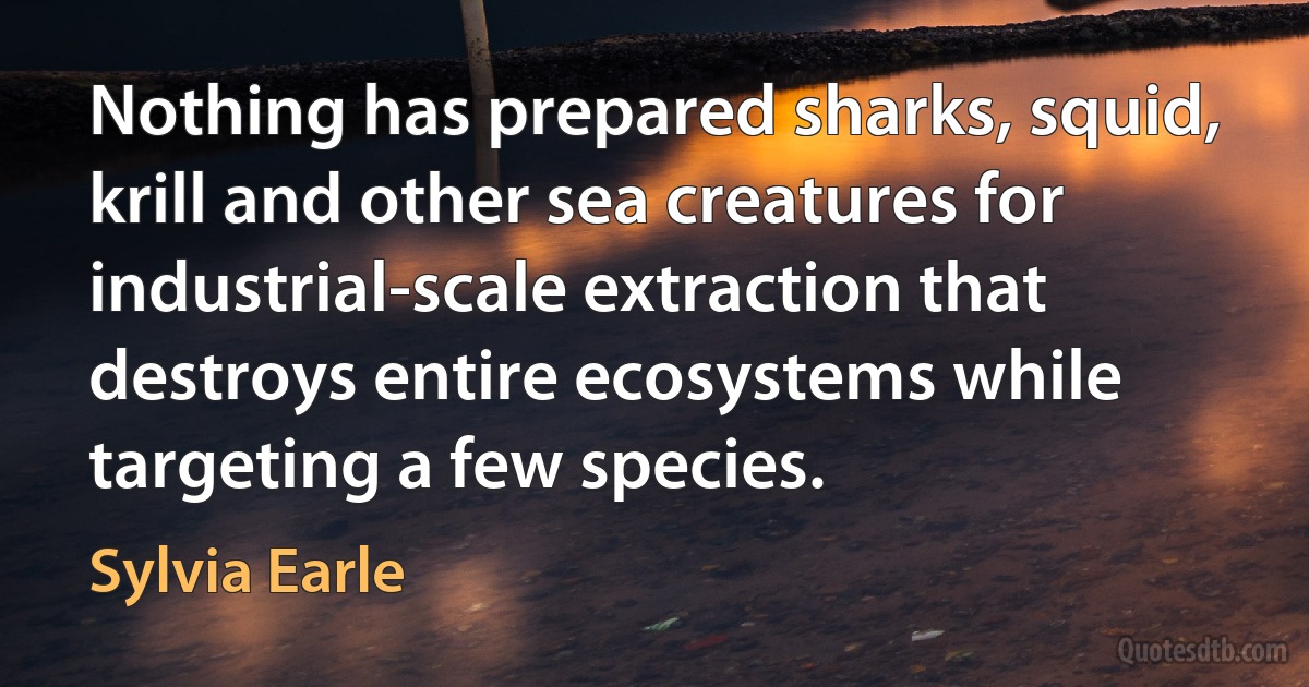 Nothing has prepared sharks, squid, krill and other sea creatures for industrial-scale extraction that destroys entire ecosystems while targeting a few species. (Sylvia Earle)