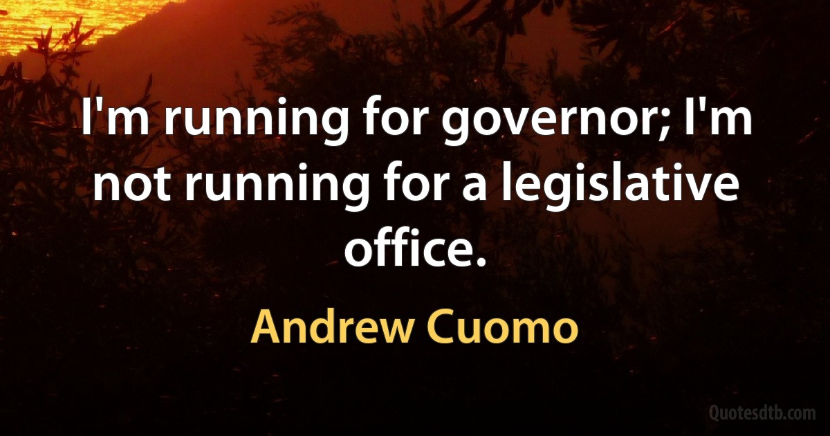 I'm running for governor; I'm not running for a legislative office. (Andrew Cuomo)