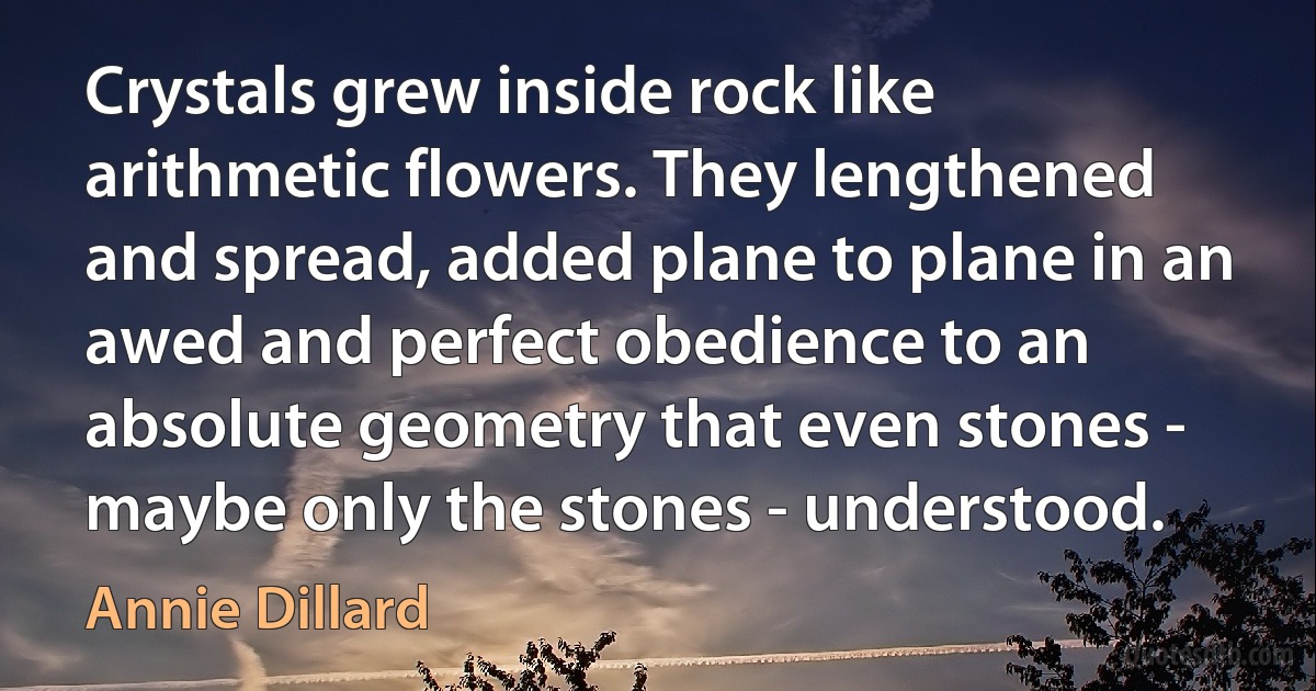 Crystals grew inside rock like arithmetic flowers. They lengthened and spread, added plane to plane in an awed and perfect obedience to an absolute geometry that even stones - maybe only the stones - understood. (Annie Dillard)