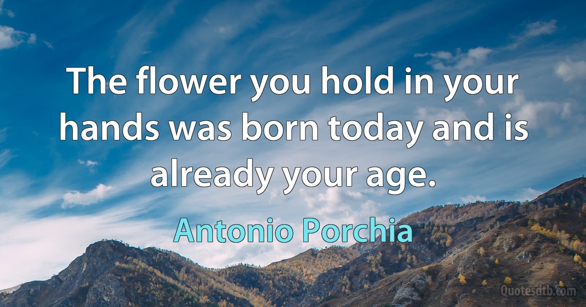 The flower you hold in your hands was born today and is already your age. (Antonio Porchia)