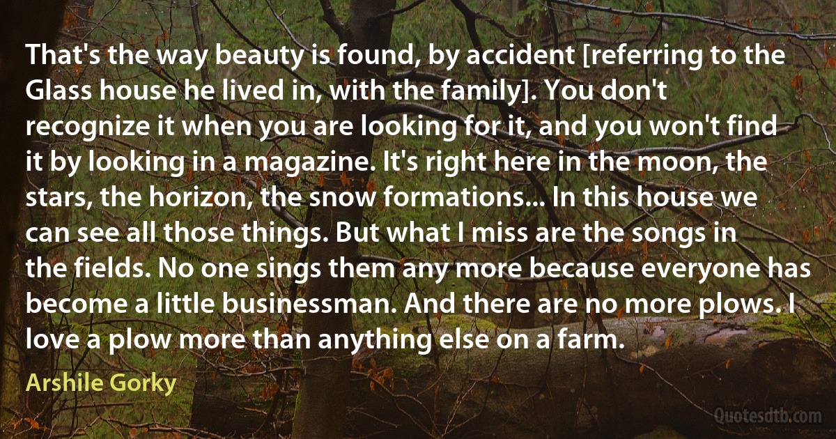 That's the way beauty is found, by accident [referring to the Glass house he lived in, with the family]. You don't recognize it when you are looking for it, and you won't find it by looking in a magazine. It's right here in the moon, the stars, the horizon, the snow formations... In this house we can see all those things. But what I miss are the songs in the fields. No one sings them any more because everyone has become a little businessman. And there are no more plows. I love a plow more than anything else on a farm. (Arshile Gorky)
