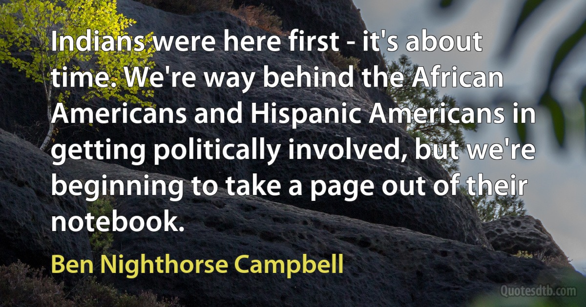 Indians were here first - it's about time. We're way behind the African Americans and Hispanic Americans in getting politically involved, but we're beginning to take a page out of their notebook. (Ben Nighthorse Campbell)