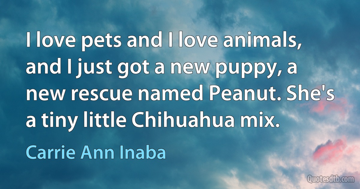 I love pets and I love animals, and I just got a new puppy, a new rescue named Peanut. She's a tiny little Chihuahua mix. (Carrie Ann Inaba)