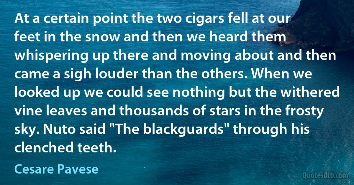 At a certain point the two cigars fell at our feet in the snow and then we heard them whispering up there and moving about and then came a sigh louder than the others. When we looked up we could see nothing but the withered vine leaves and thousands of stars in the frosty sky. Nuto said "The blackguards" through his clenched teeth. (Cesare Pavese)